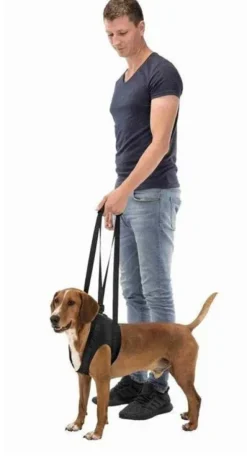 Trixie Uprząż rehabilitacyjna dla psa rozm. L-XL 75-85cm nr kat. 19408