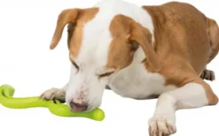 Trixie Zabawka na przysmaki wyprostowany wąż Snack Snake dla psa kolor zielony nr kat. 34949 WYPRZEDAŻ