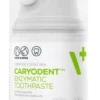 VetExpert Caryodent Enzymatyczna Pasta do zębów dla psa i kota op. 50ml