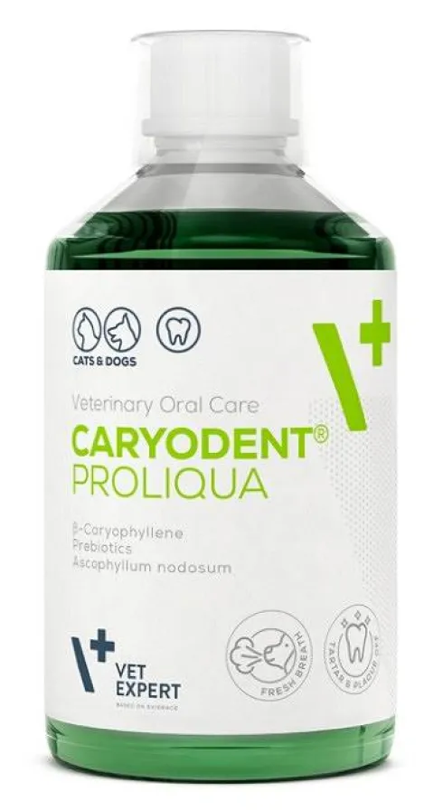 VetExpert Caryodent Proliqua dla psa i kota op. 250ml WYPRZEDAŻ