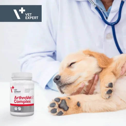VetExpert Preparat na stawy ArthroVet COMPLEX dla psa i kota op. 90 tabletek