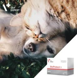 VetExpert Probiotyk BioProtect dla psa i kota op. 60 kapsułek