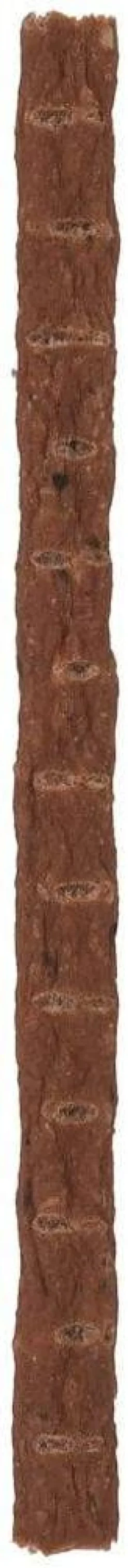 Vitakraft Kabanos Beef Stick z indykiem dla psa op. 1szt.