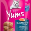 Vitakraft Przysmak Cat Yums z łososiem dla kota op. 40g nr kat. 28823 WYPRZEDAŻ