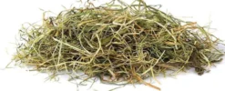 Vitakraft Sianko VitaVerde z miętą dla gryzonia op. 500g