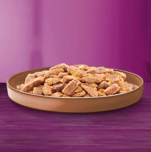 Whiskas Adult Kaczka w galaretce Mokra Karma dla kota op. 400g Pakiet 12szt.
