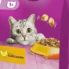 Whiskas Adult z Kurczakiem Sucha Karma dla kota op. 7kg