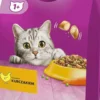 Whiskas Adult z Kurczakiem Sucha Karma dla kota op. 1.4kg