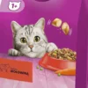 Whiskas Adult z Wołowiną Sucha Karma dla kota op. 1.4kg