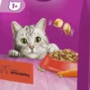 Whiskas Adult z Wołowiną Sucha Karma dla kota op. 14kg