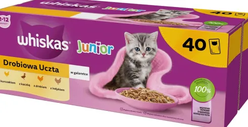 Whiskas Junior Drobiowa Uczta Karma w galaretce dla kociąt 40x85g