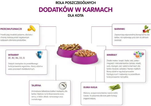 Whiskas Klasyczne Posiłki w sosie Mokra Karma dla kota op. 80x85g