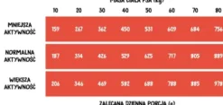 Wiejska Zagroda Wołowina z indykiem Sucha Karma dla psa op. 2kg