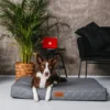 Wikopet Orthopedic Legowisko Materac rozm. M 77x65cm kolor szary