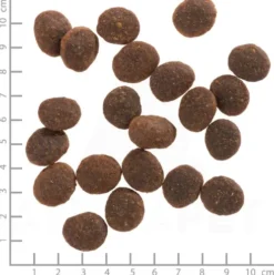 Wolfsblut Adult Black Marsh Sucha Karma dla psa op. 12.5kg