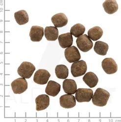 Wolfsblut Adult Cold River Sucha Karma dla psa op. 2kg
