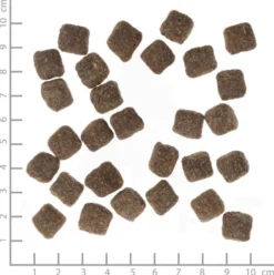 Wolfsblut Adult Small Dark Forest Sucha Karma dla psa op. 7.5g WYPRZEDAŻ
