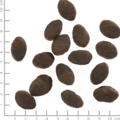 Wolfsblut Adult Wild Pacific Sucha Karma dla psa op. 12.5kg