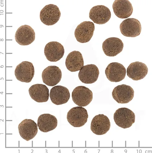 Wolfsblut VetLine Gastrointestinal Sucha Karma dla psa op. 12kg