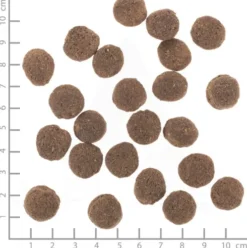 Wolfsblut VetLine Hypoallergenic Sucha Karma dla psa op. 12kg