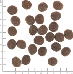 Wolfsblut VetLine Skin&Coat Sucha Karma dla psa op. 2kg WYPRZEDAŻ