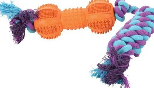 Zolux Zabawka Dental ze sznurem dla psa nr kat. 480378ASS